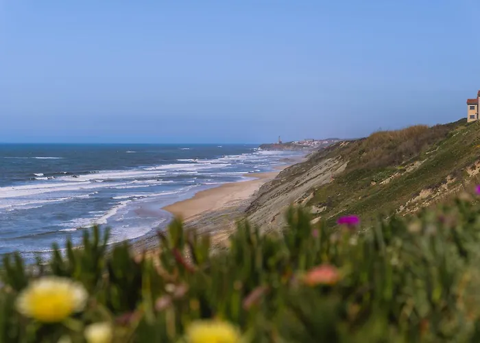 Surf - 7min Walk To The דירה *