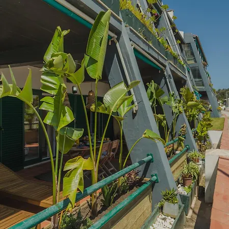 Apartment Surf - 7min Walk To The *
